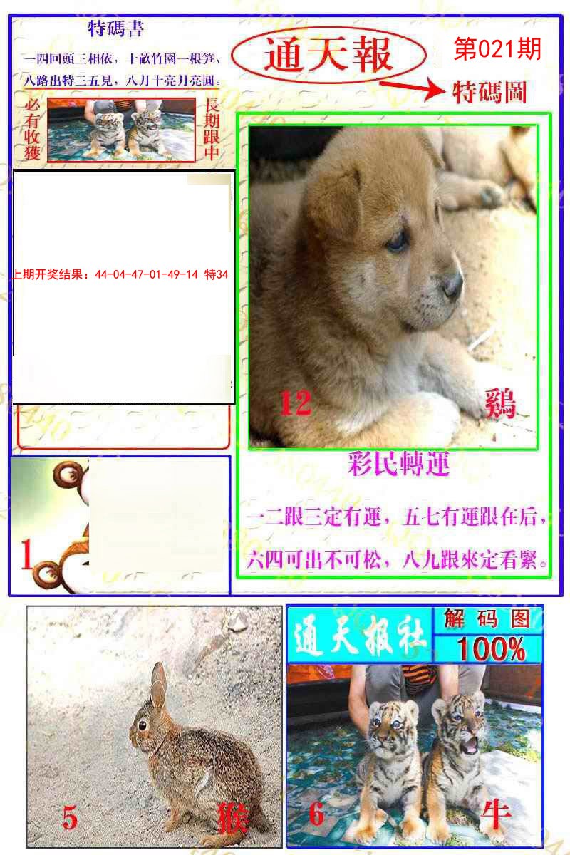 2025021期通天特解图