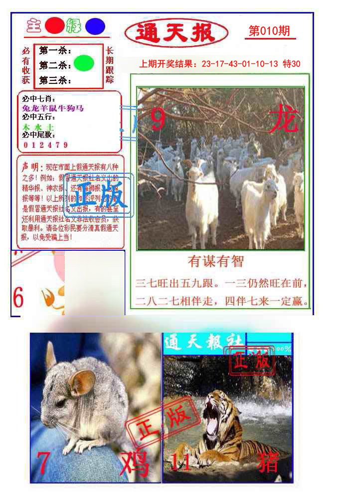 2025010期通天杀波图1