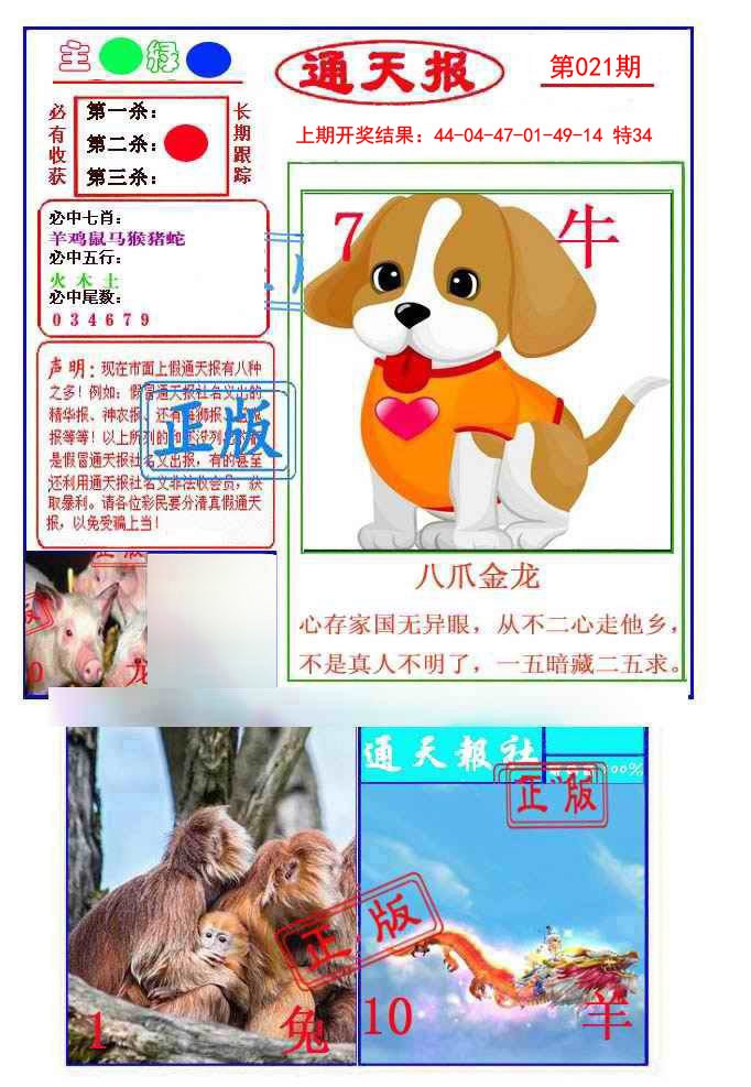 2025021期通天杀波图1