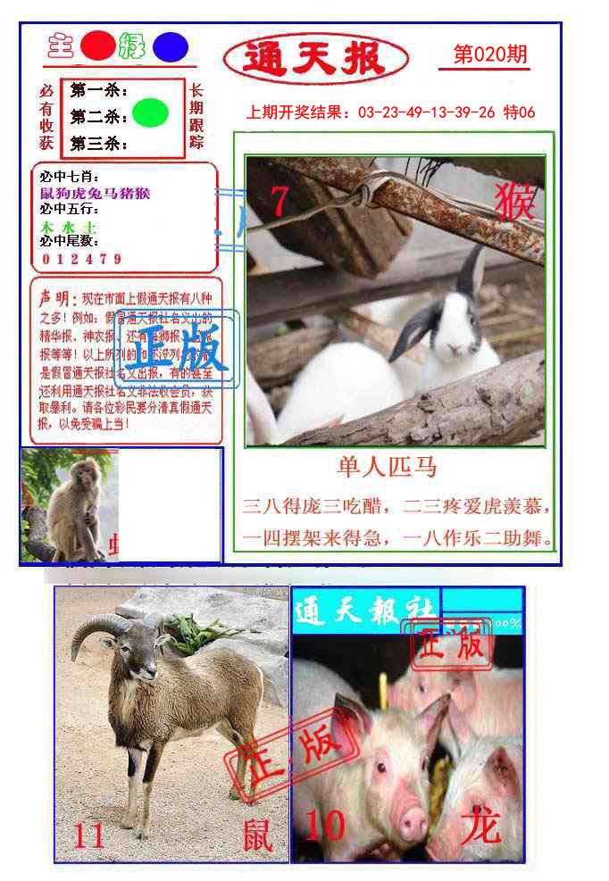 2025020期通天杀波图1