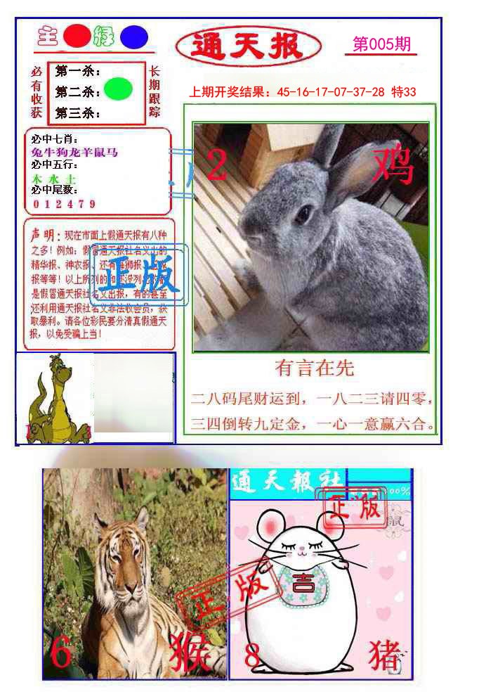 2025005期通天杀波图1