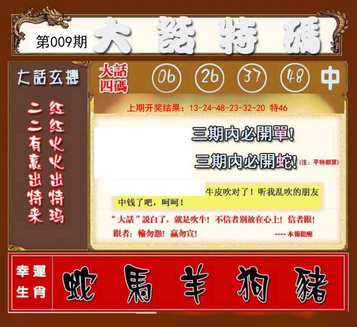 2025009期大话特码