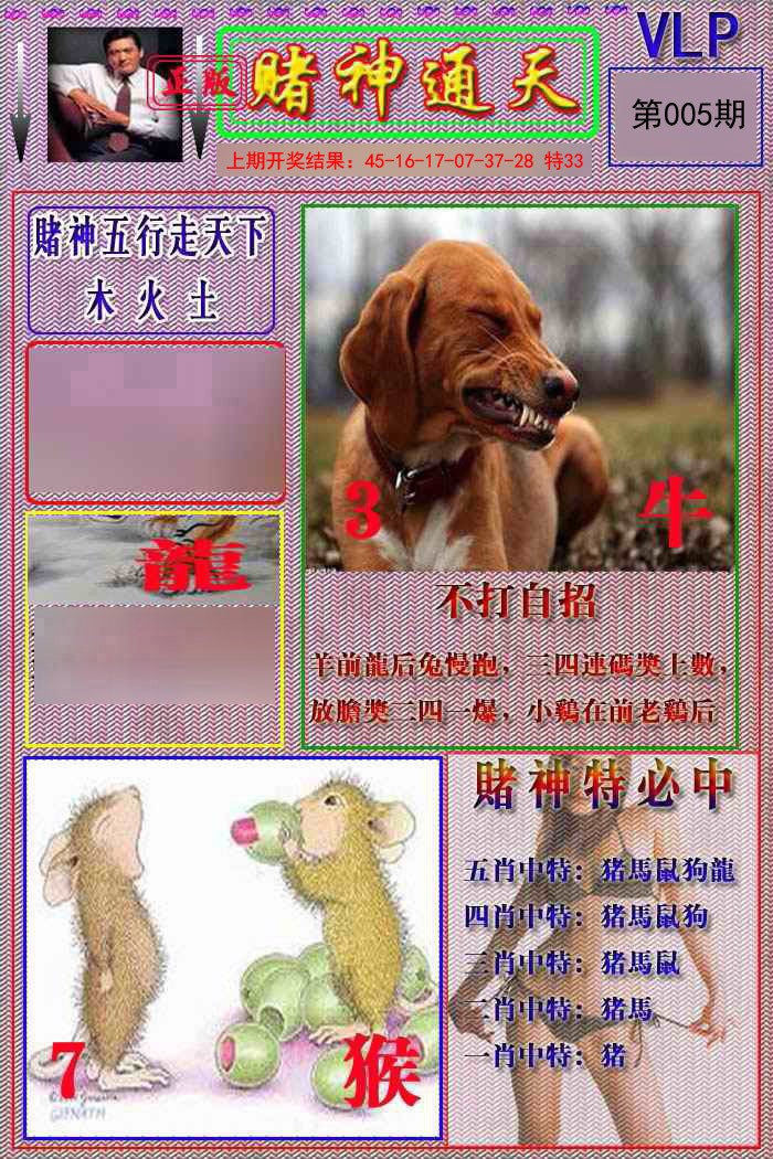 2025005期赌神通天报