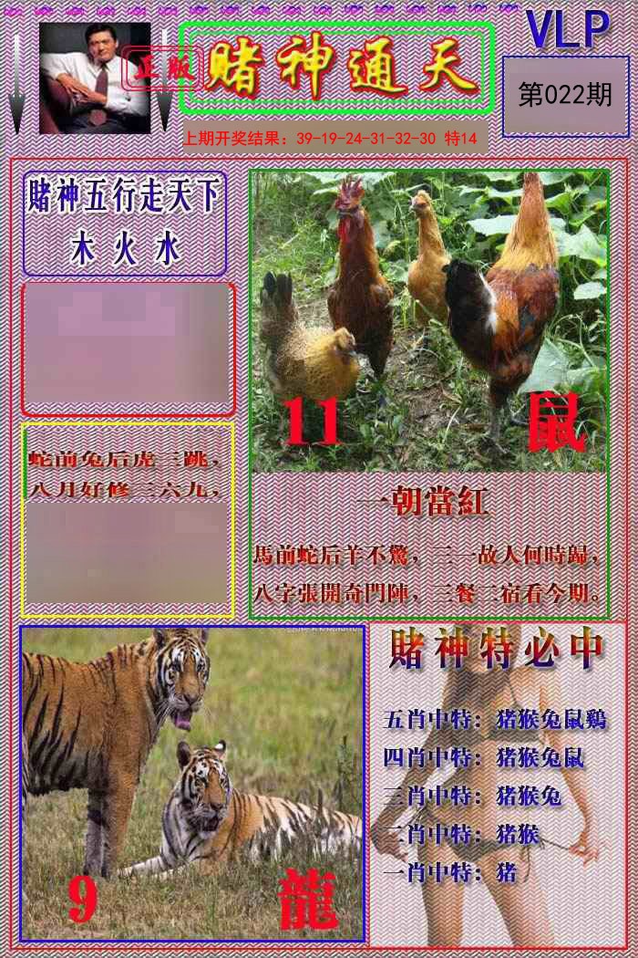 2025022期赌神通天报