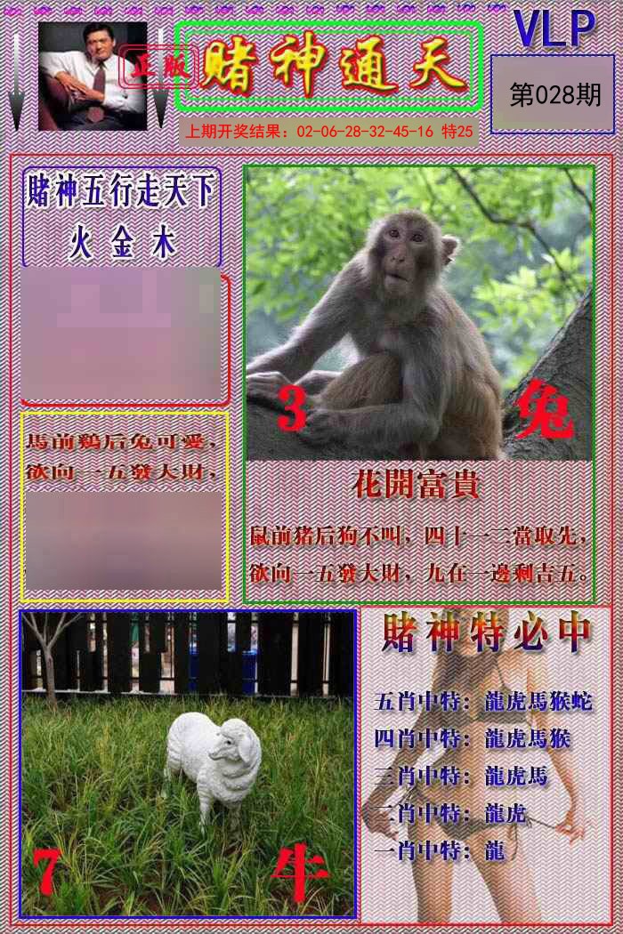 2025028期赌神通天报