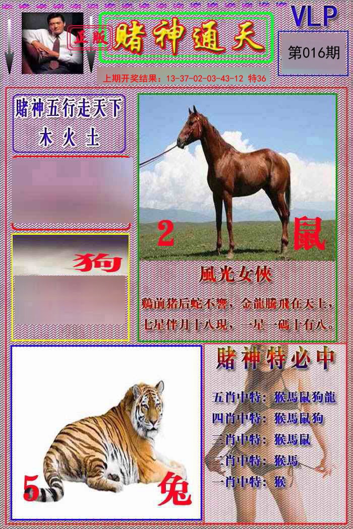 2025016期赌神通天报