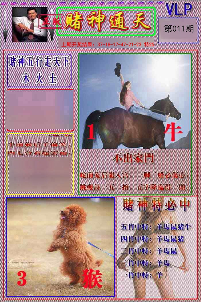2025011期赌神通天报