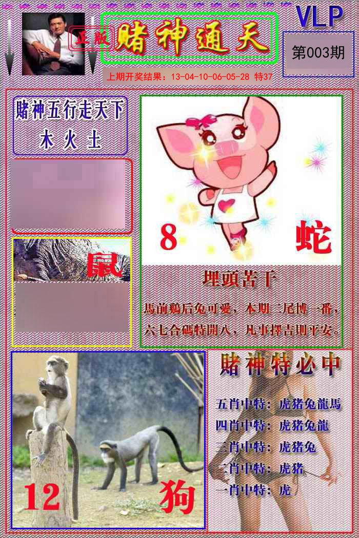 2025003期赌神通天报