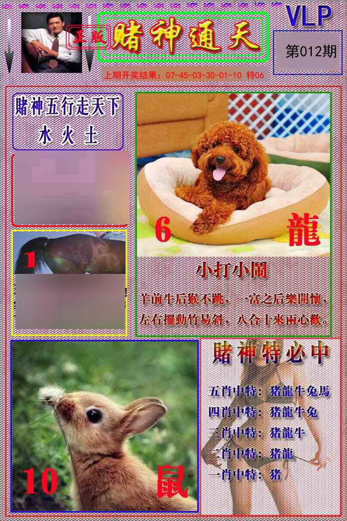 2025012期赌神通天报