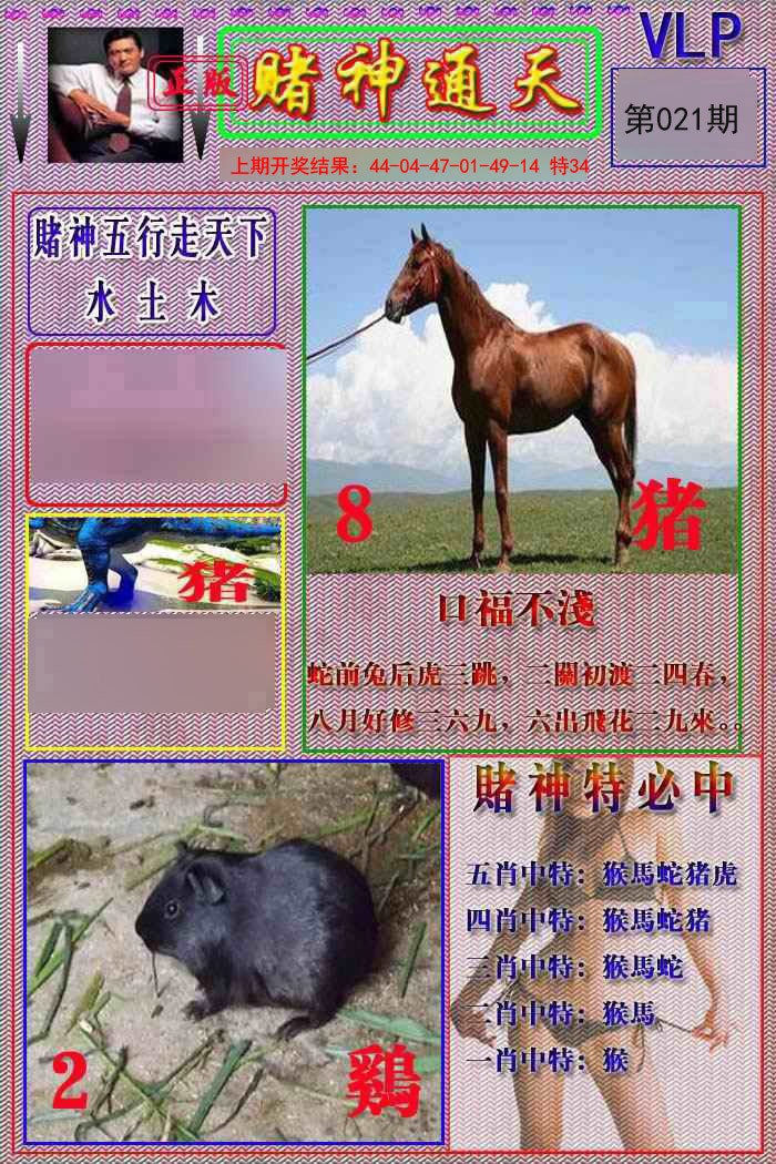 2025021期赌神通天报