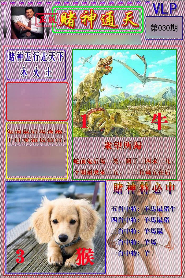 2025030期赌神通天报