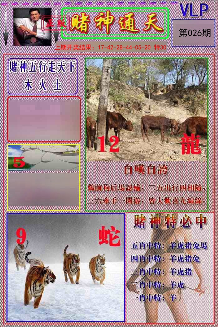 2025026期赌神通天报