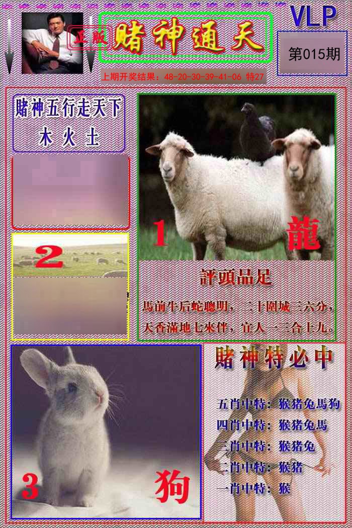 2025015期赌神通天报