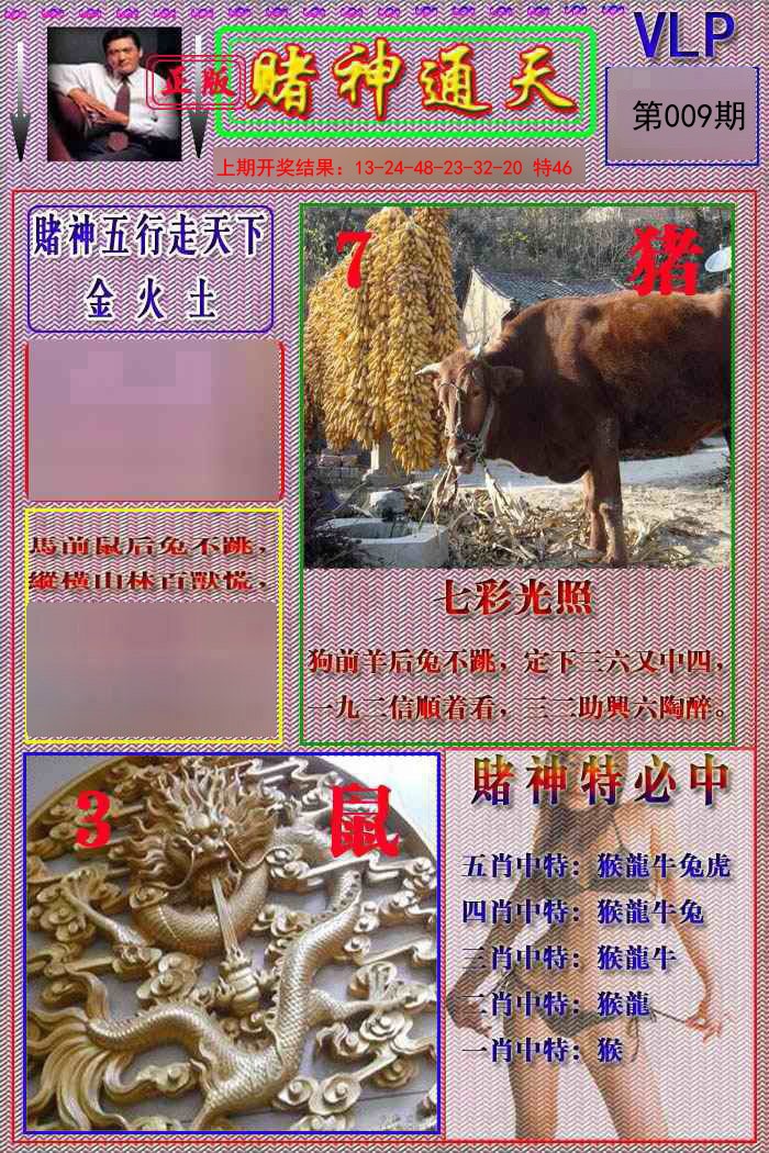 2025009期赌神通天报