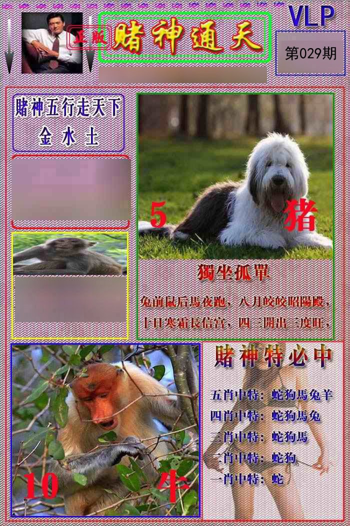 2025029期赌神通天报