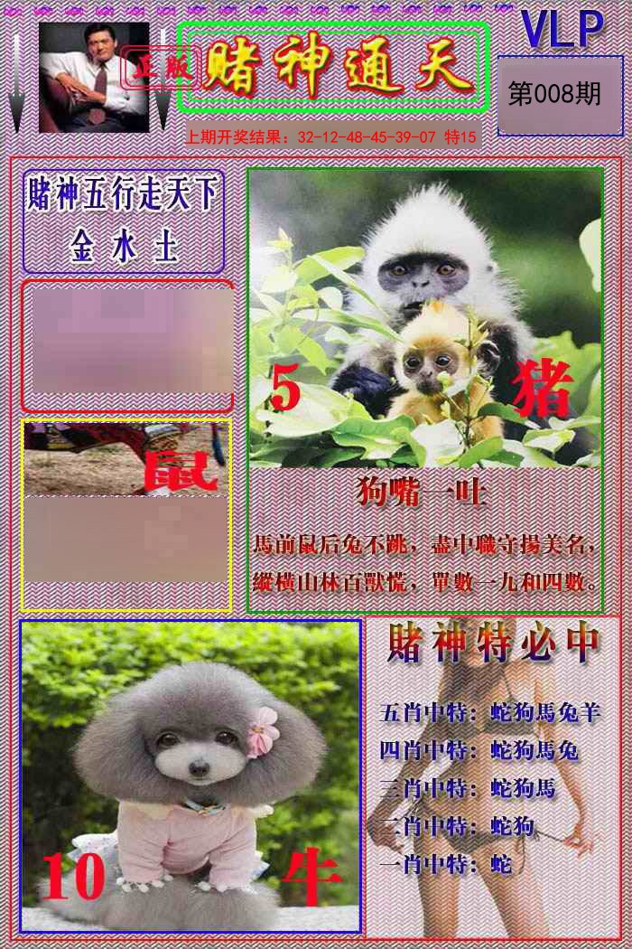 2025008期赌神通天报