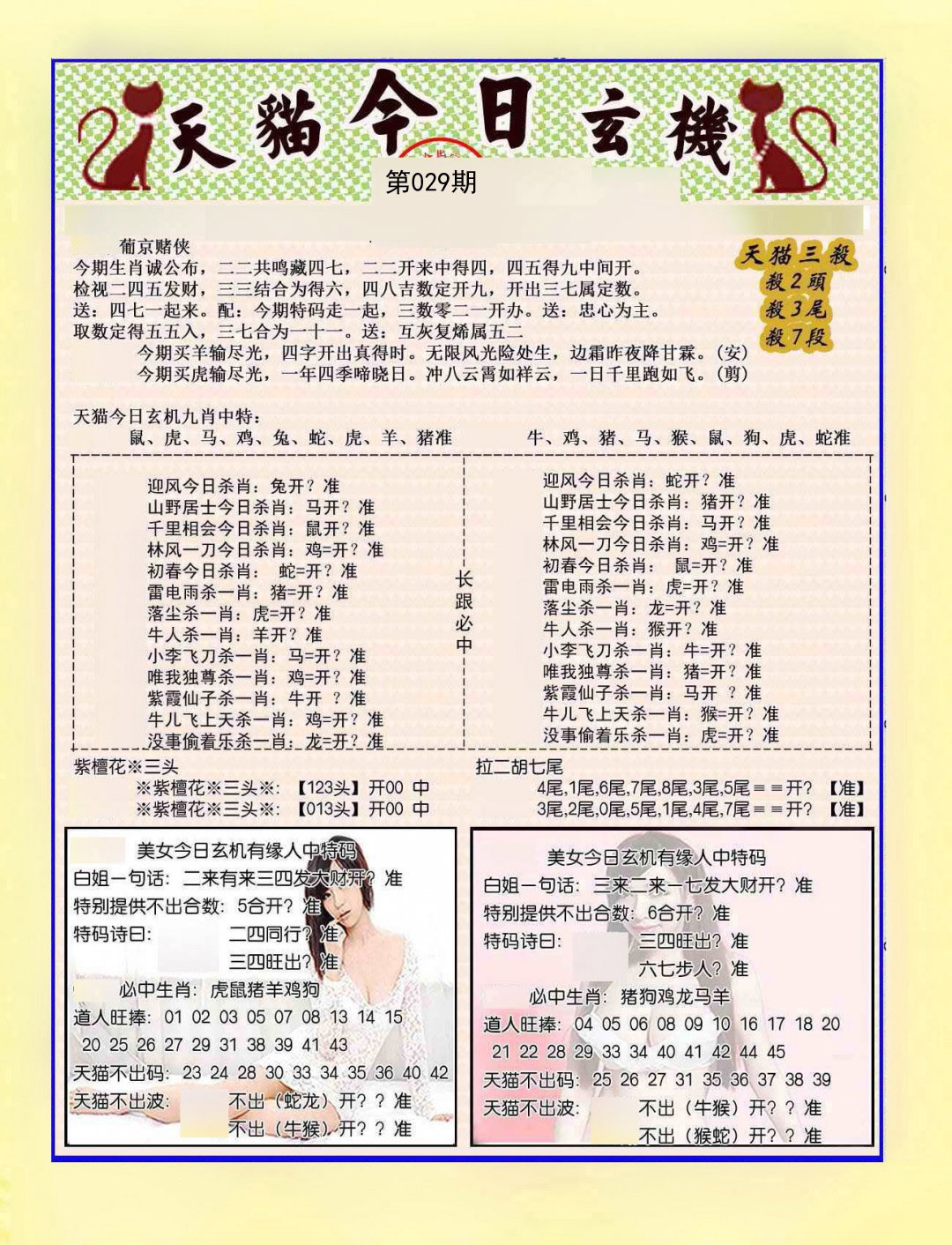 2025029期今日玄机图B
