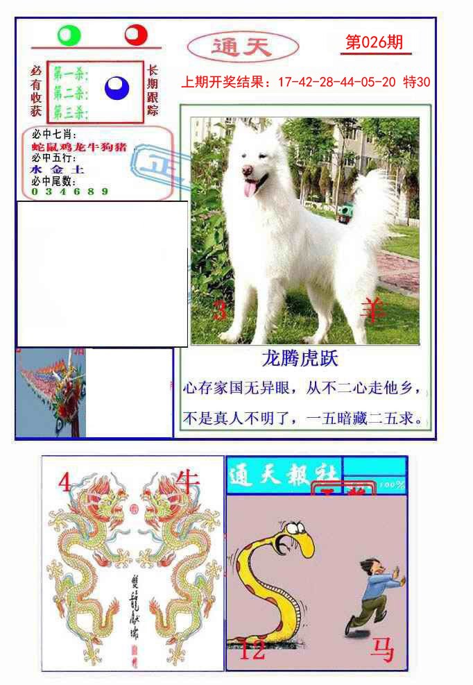 2025026期通天杀波图2
