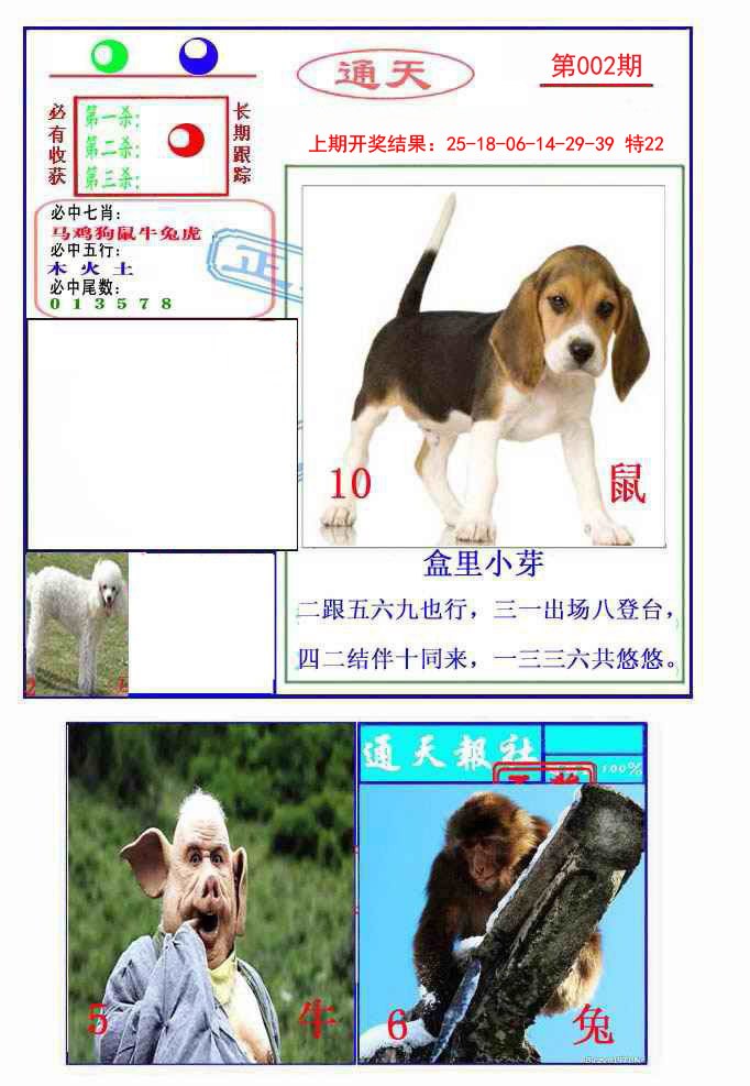 2025002期通天杀波图2