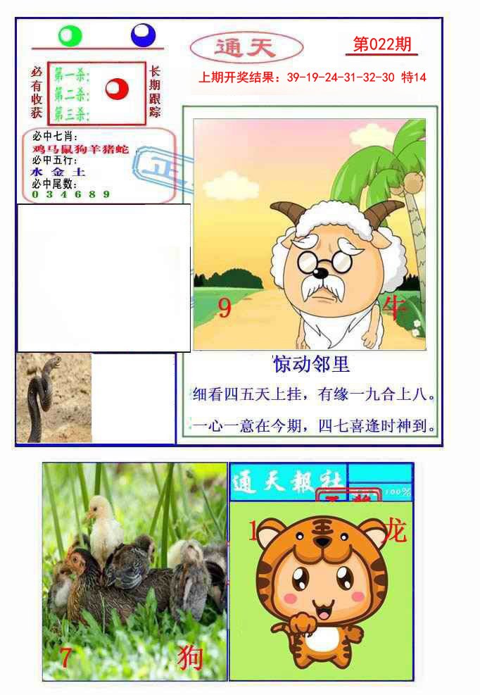 2025022期通天杀波图2