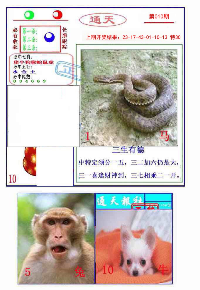 2025010期通天杀波图2