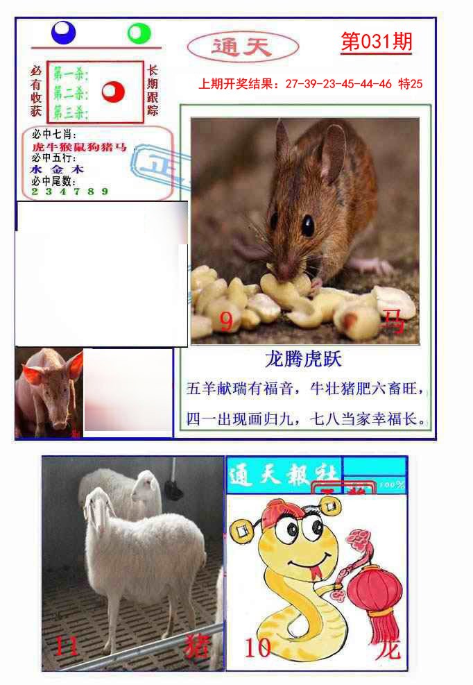 2025031期通天杀波图2
