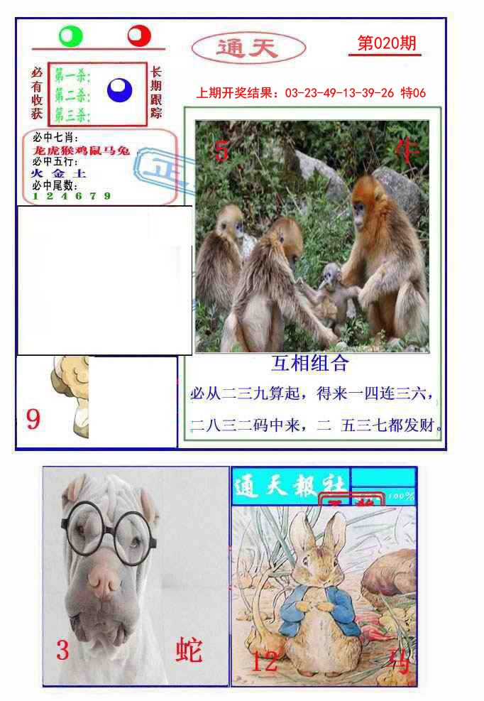 2025020期通天杀波图2