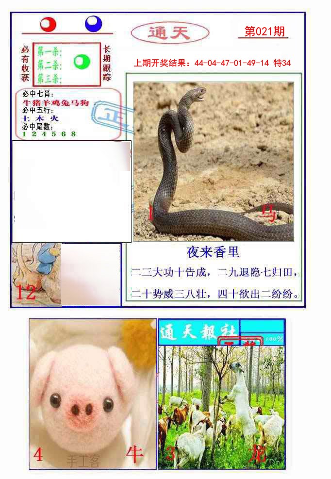 2025021期通天杀波图2