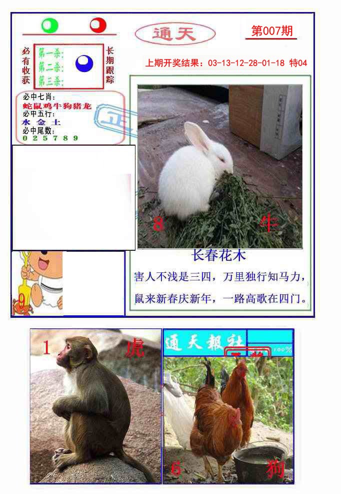 2025007期通天杀波图2