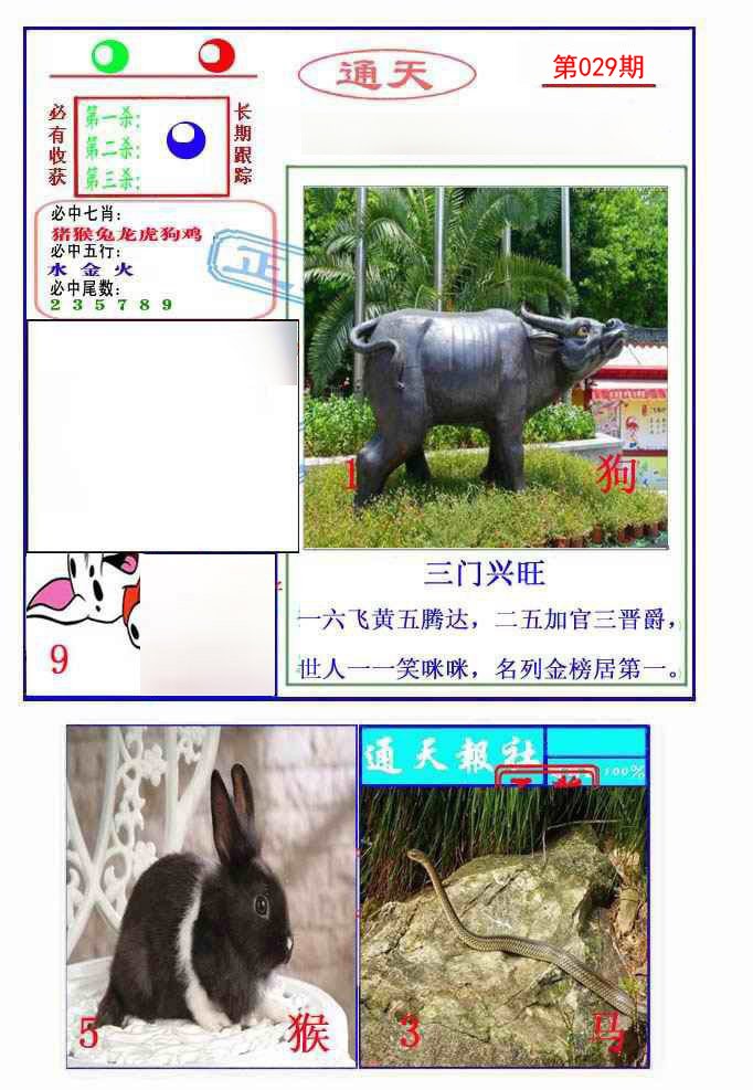 2025029期通天杀波图2