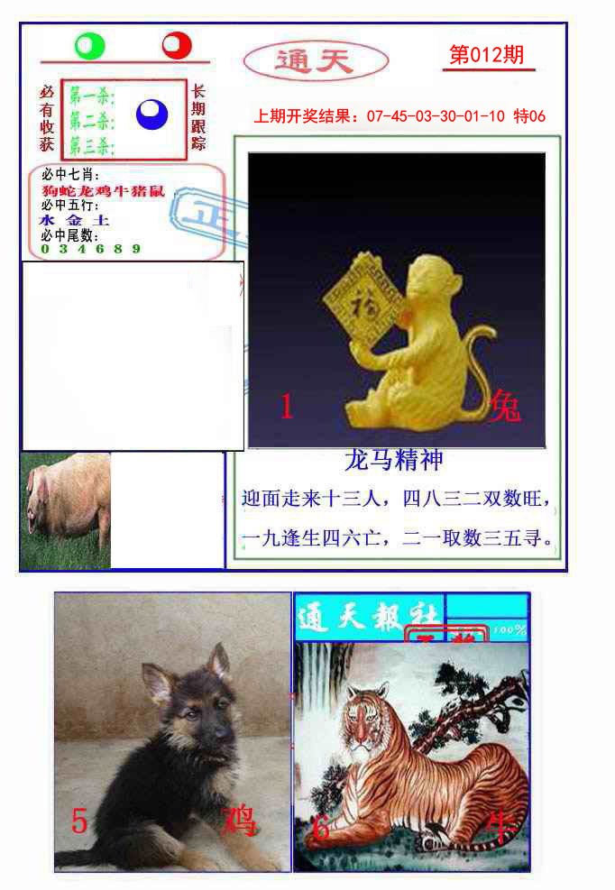2025012期通天杀波图2