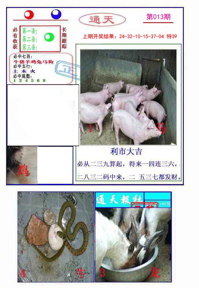 2025013期通天杀波图2