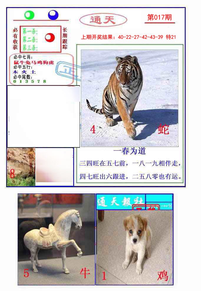 2025017期通天杀波图2