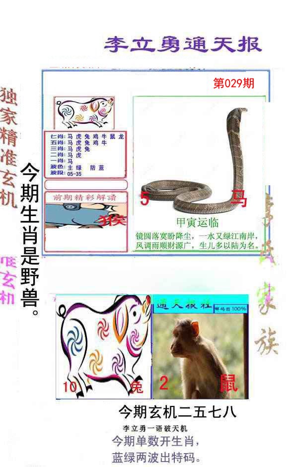 2025029期李立勇通天报
