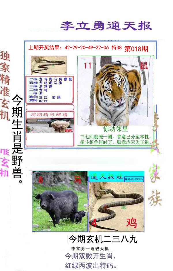 2025018期李立勇通天报
