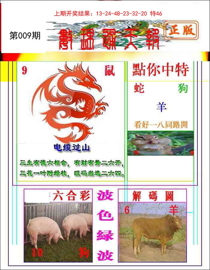 2025009期数理通天