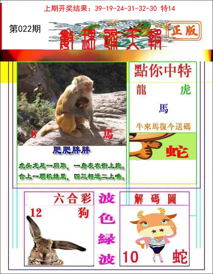 2025022期数理通天