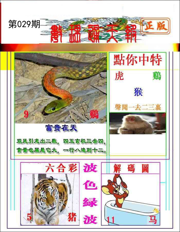 2025029期数理通天