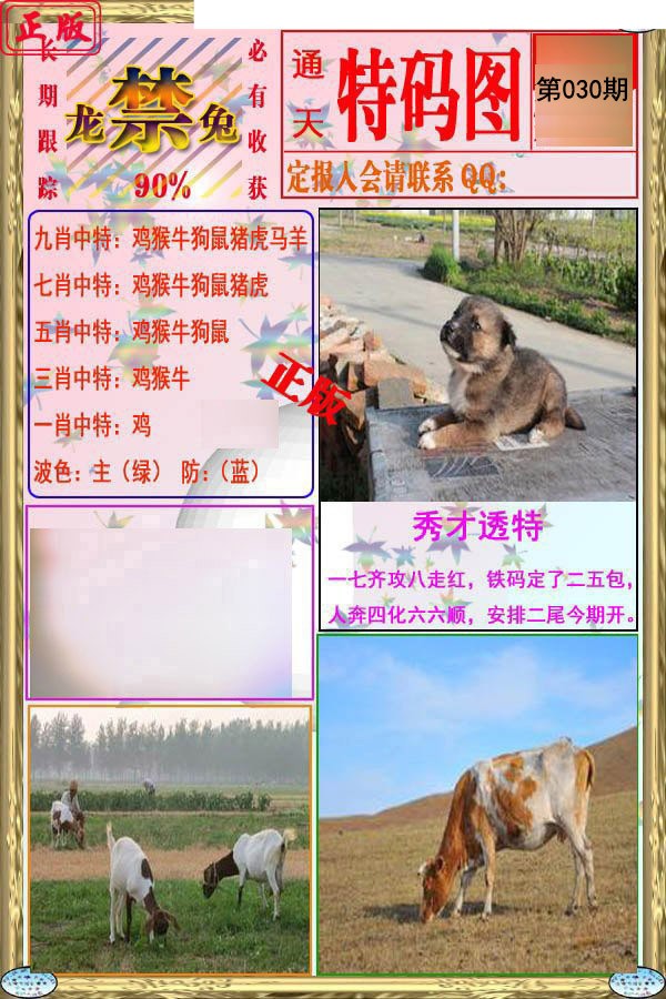 2025030期特码图