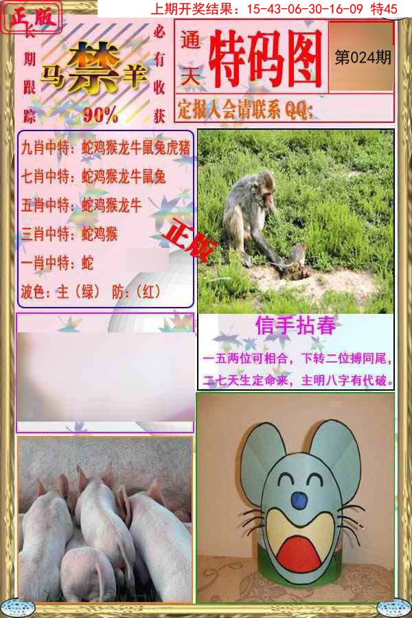 2025024期特码图
