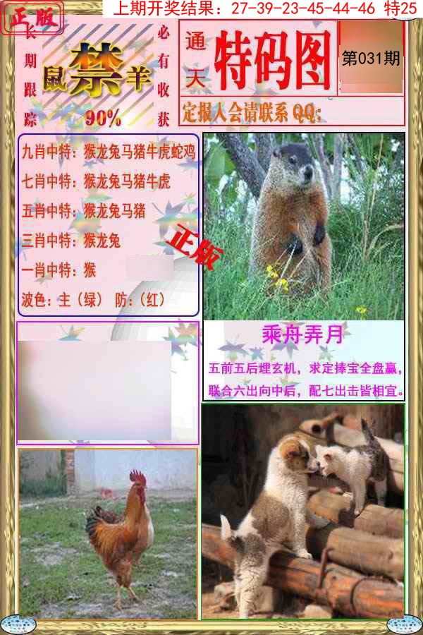 2025031期特码图