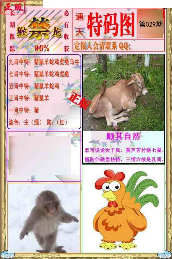 2025029期特码图