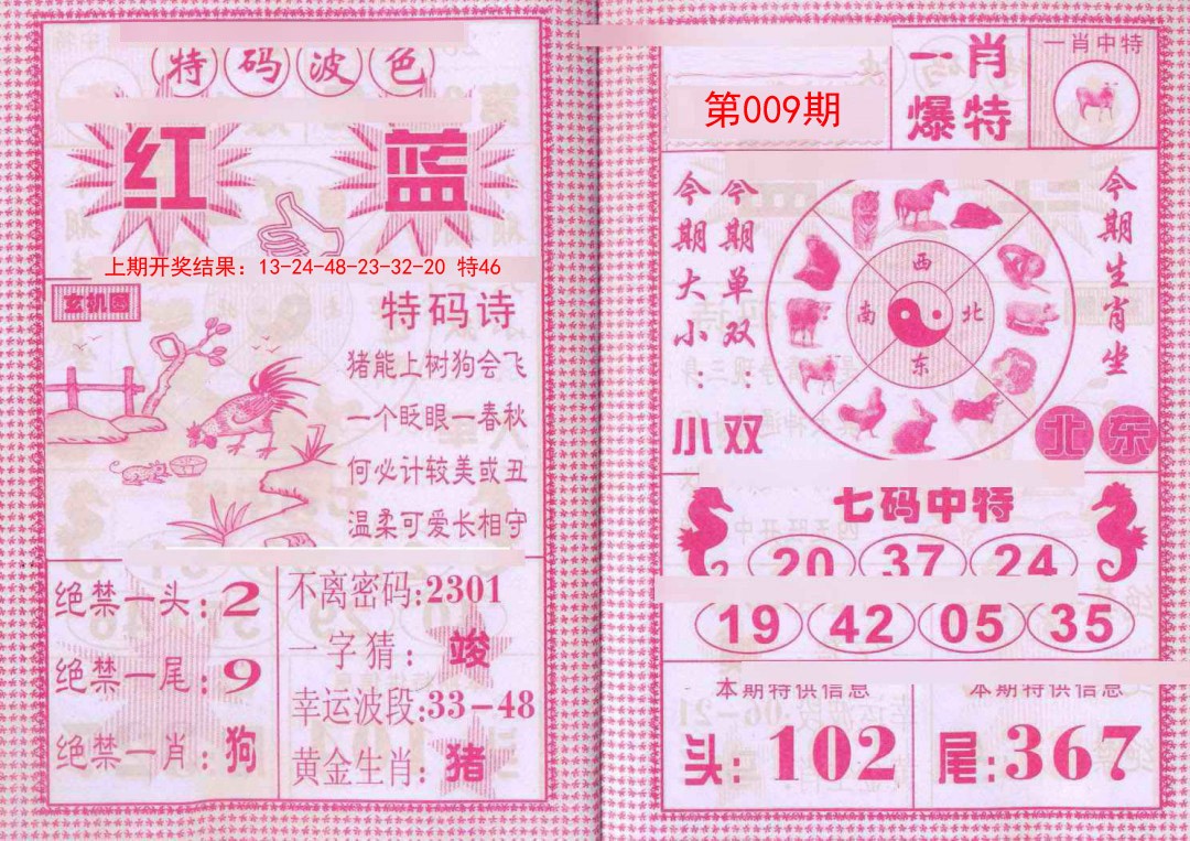 2025009期一肖爆特