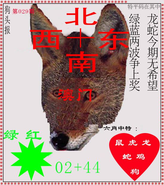 2025029期狗头报