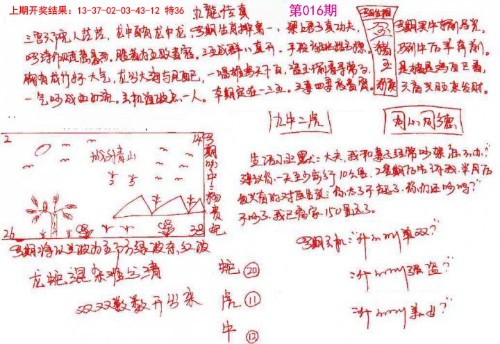 2025016期手写九龙内幕