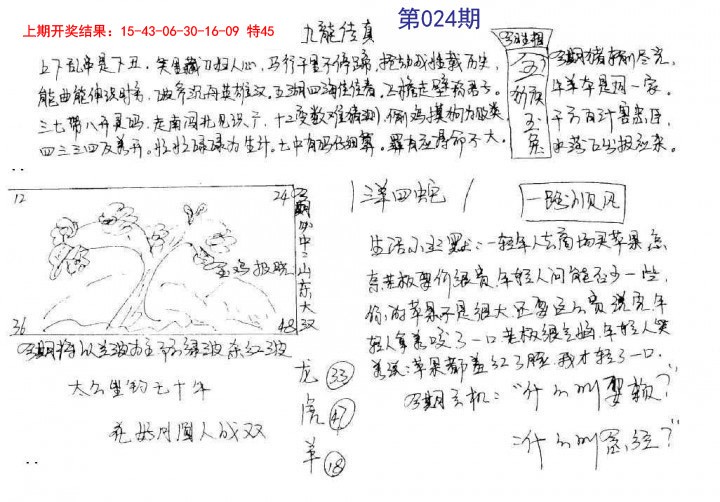 2025024期手写九龙内幕