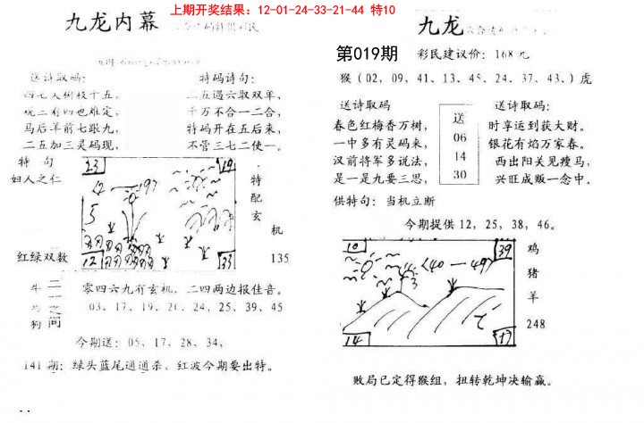 2025019期九龙内幕