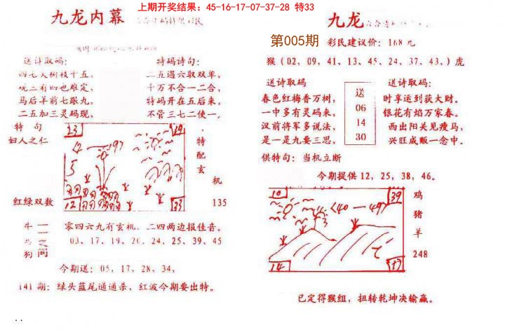 2025005期九龙内幕