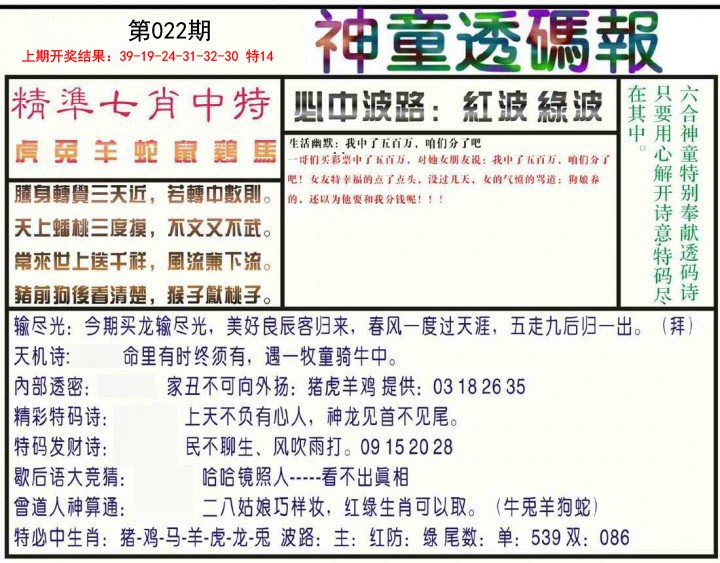 2025022期神童透码报