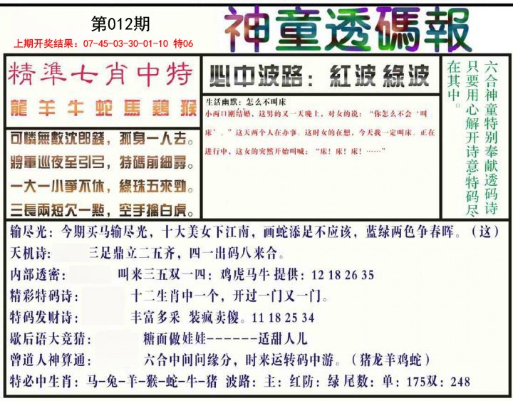 2025012期神童透码报
